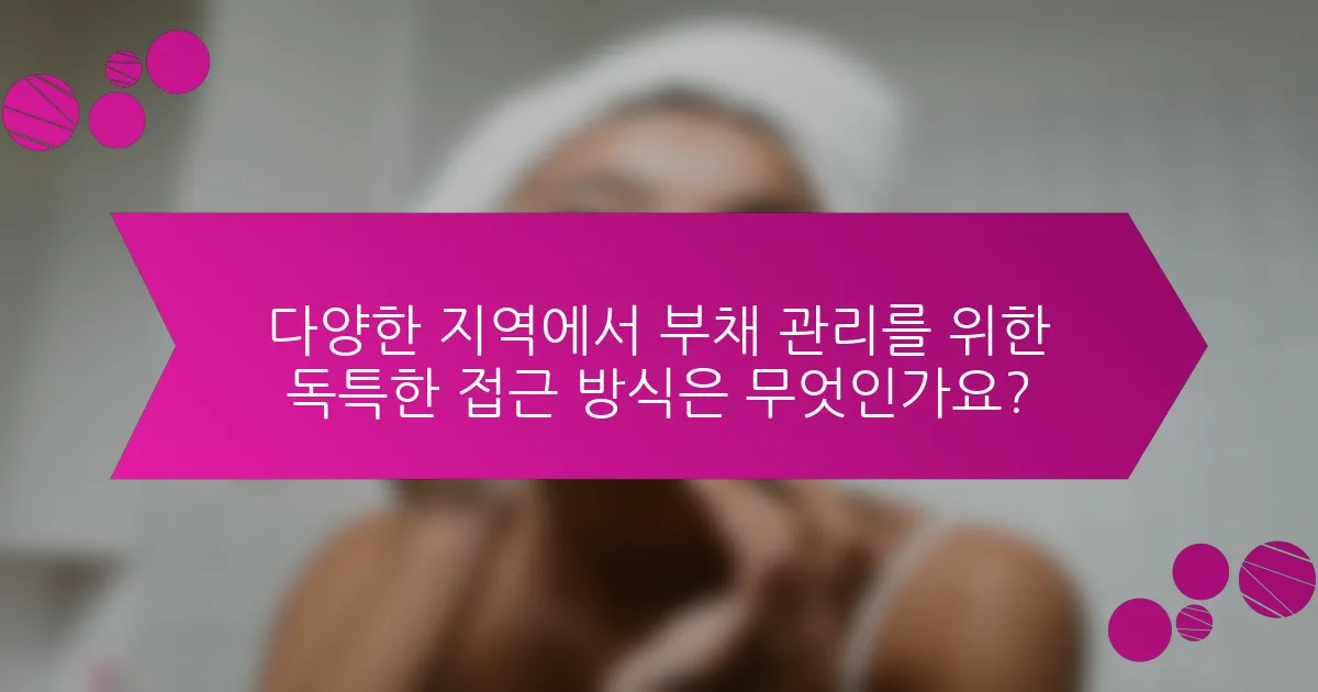 다양한 지역에서 부채 관리를 위한 독특한 접근 방식은 무엇인가요?