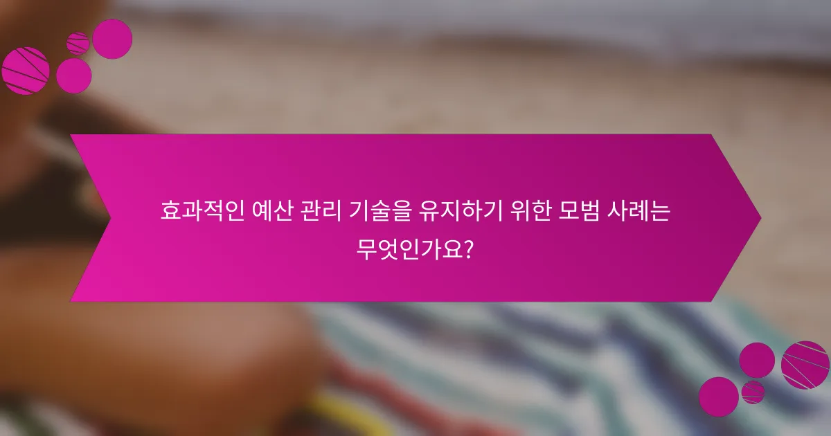 효과적인 예산 관리 기술을 유지하기 위한 모범 사례는 무엇인가요?