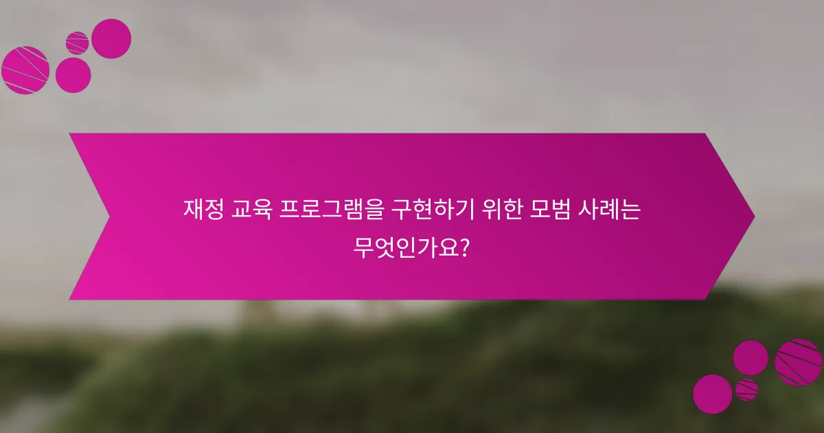 재정 교육 프로그램을 구현하기 위한 모범 사례는 무엇인가요?