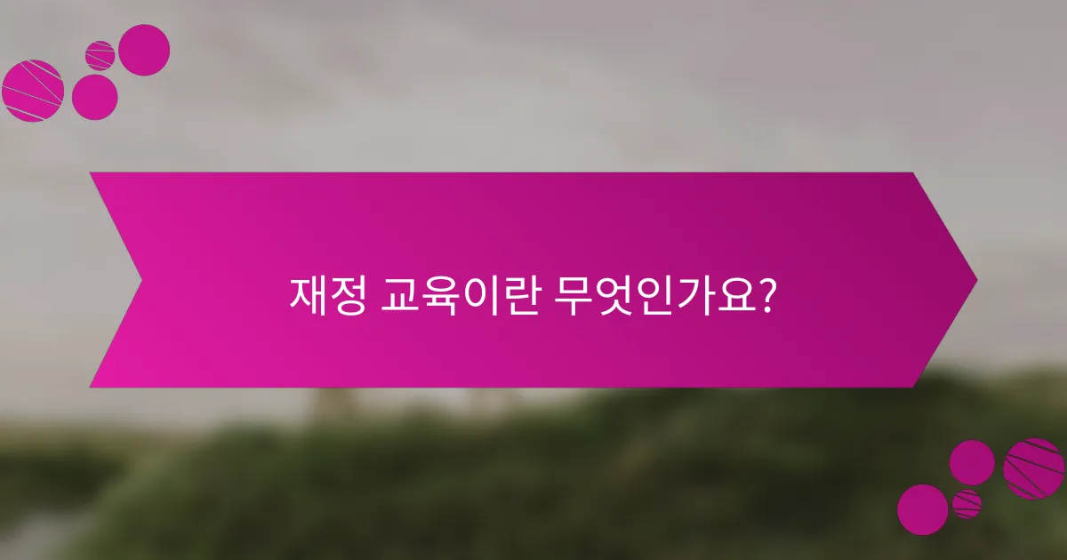 재정 교육이란 무엇인가요?
