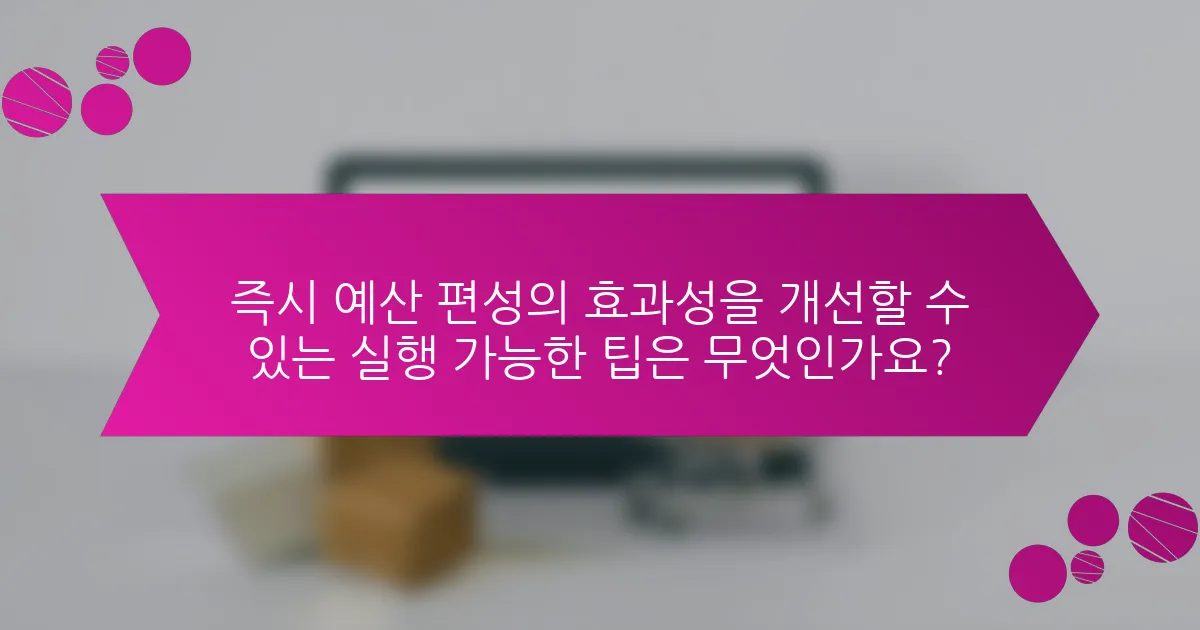 즉시 예산 편성의 효과성을 개선할 수 있는 실행 가능한 팁은 무엇인가요?